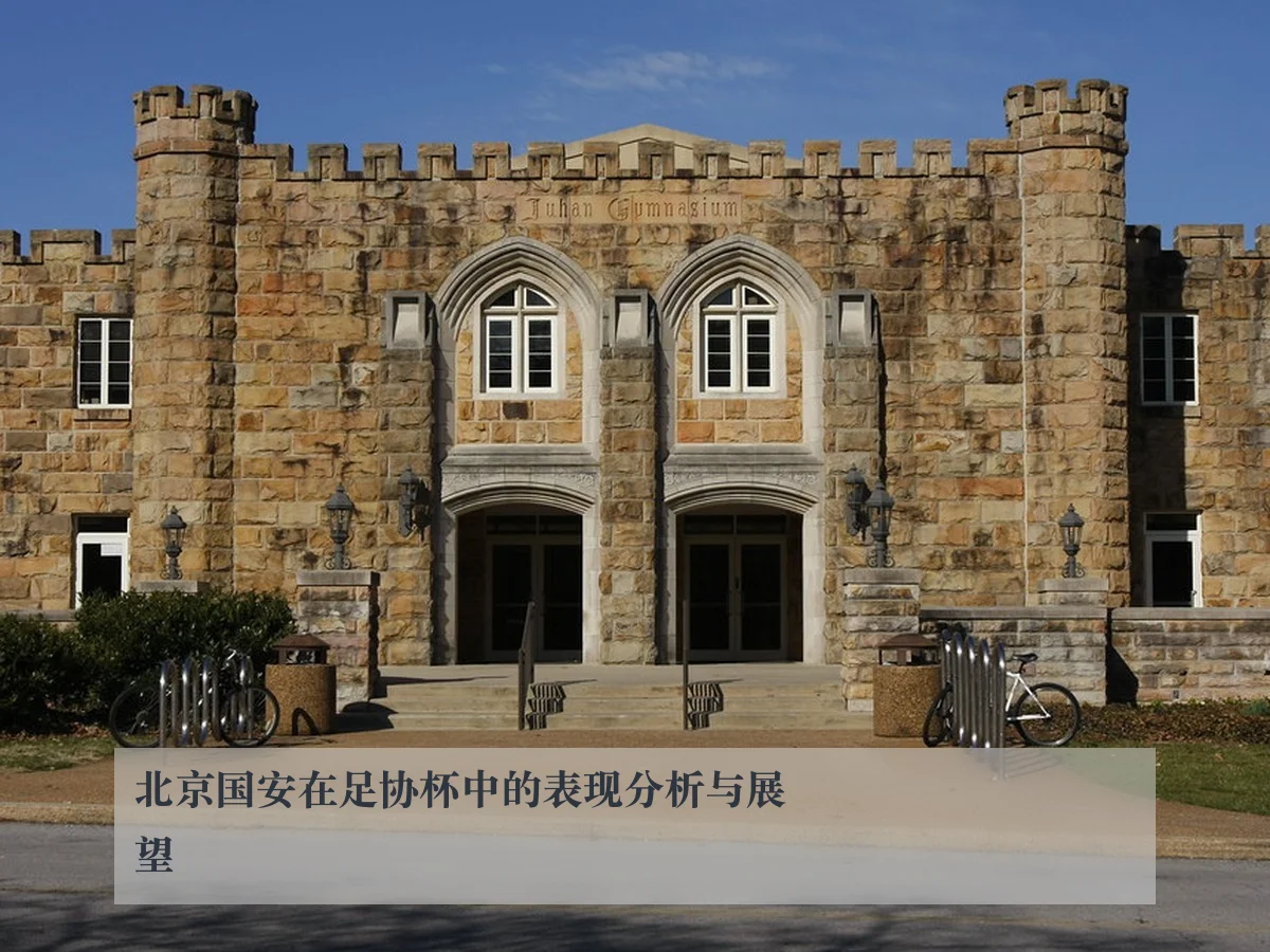 北京国安在足协杯中的表现分析与展望