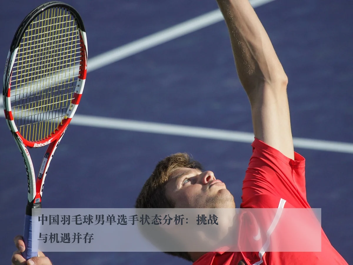 中国羽毛球男单选手状态分析:挑战与机遇并存